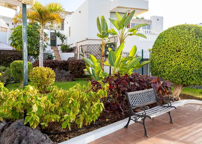 Geranios 110 公寓 美洲海滩