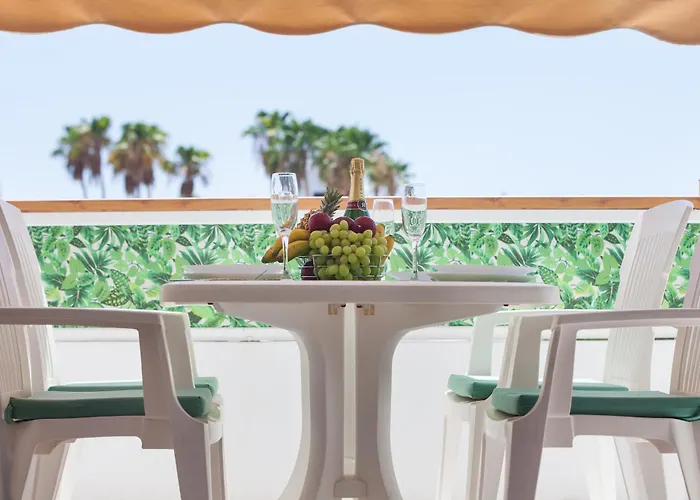 Geranios 110 * 美洲海滩